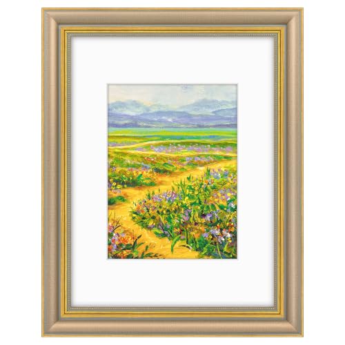 Golden State Art,9x12 Ornate Picture Frame Holds 6x8 Photo,Champagne Gold
