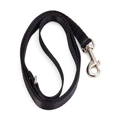 YOULY Skull Cat Harness & Leash Set Medium