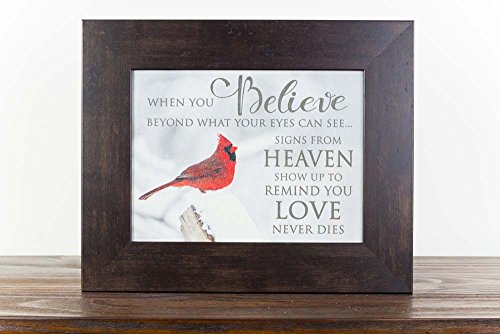 Summer Snow When Believe Beyond What Your Eyes Can See Heaven Cardinal Religious Sympathy Art Decor 13x16