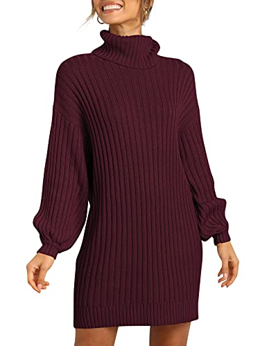 Anrabess Oversized Sweaters For Women Turtleneck Batwing Sleeve Sweater Dress 2023 Fall Winter Casual Baggy Pullover Soft Cozy Warm Mini Dress Fashion Vacation Trendy Outfits 240Jiuhong-Xs Wine #TOP1