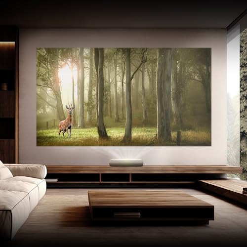 Samsung Proiettore 4K Uhd The Premiere LSPU7, Tecnologia Laser 4K, 2500 Iso Lumen, Proiezione A Raggio Ultra-Corto, Filmmaker Mode, Suono Potente 2.2 Canali Da 30 Watt, Colore Warm White - 10