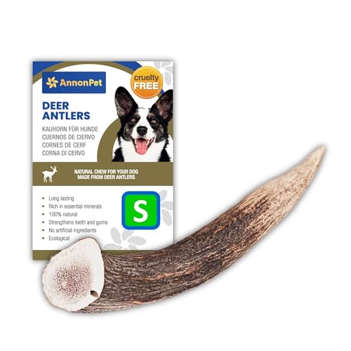 AnnonPet® Corno di Cervo | Masticativi Naturali per Cani | Osso di Cervo per Cani Ricco di Calcio e Fosforo |Ideale per l'Igiene Orale e la Salute Dentale | Riduce tartaro e ansia (Small)