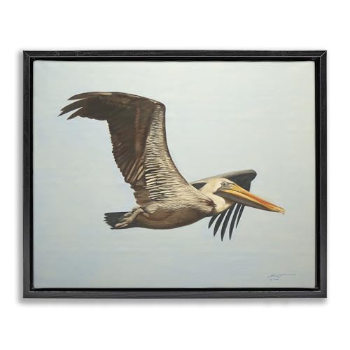 Stupell Industries 'Brown Pelican in Flight'| Floating Frame Canvas Art by Stupell Industries - Used condition - US$56.95