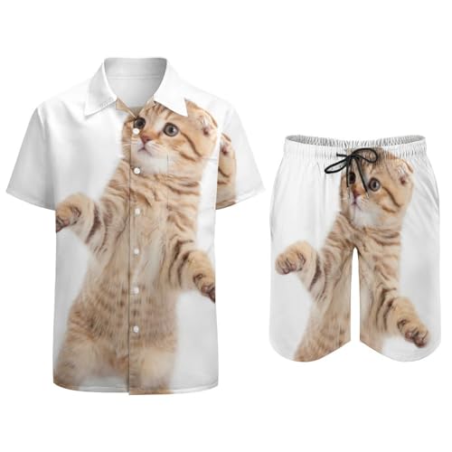 Ensemble de plage homme Chaton Debout avec chemise hawaïenne et short d'été taille S - 3