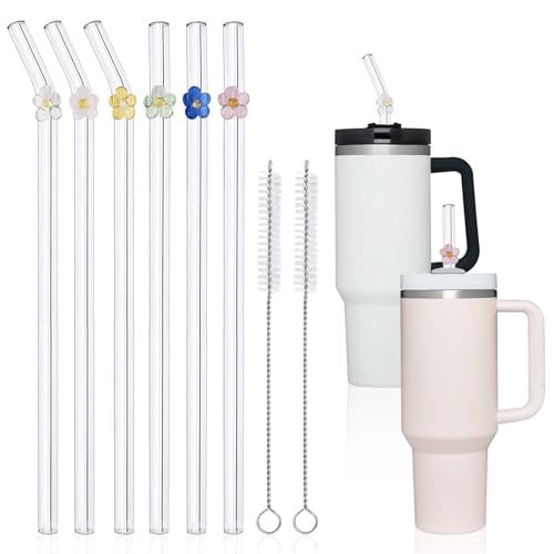 Ensemble 6 pailles de verre de remplacement pour Stanley 40 oz 30 oz