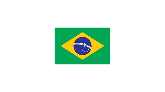 Roastika - Premium Green Coffee Bean - Unroasted - 5lb Single Origin from Brazil Cerrado