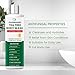 PHARMBANNER Tea Tree Antifungal Body Wash – Soothes Folliculitis, Acne, Jock Itch, Athlete’s Foot, Ringworm, Tinea Versicolor, Body Odor, Eczema & Dermatitis-Prone Skin