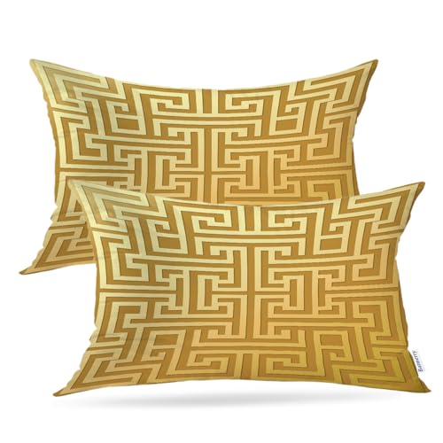 Batmerry Geometric Pattern Throw Pillow Covers, Intricate Interlocking Design Decorative Pillow Covers Digital Printing Blended for Couch Sofa Bed Invisible Zipper 12X20 in(Set of 2)