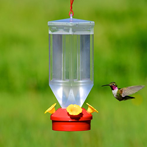 Perky-Pet 201 Lantern Hummingbird Feeder- 18 oz, Red, 6-Pack by Perky-Pet - Image 2