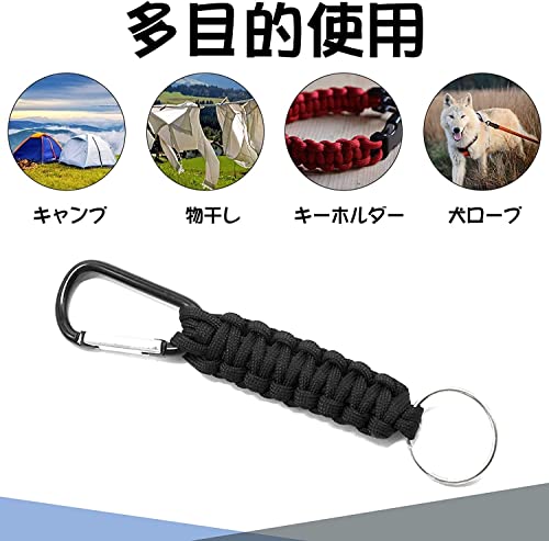 Saitrewed パラコード 16色セット 4mm 長さ3m テントロープ 