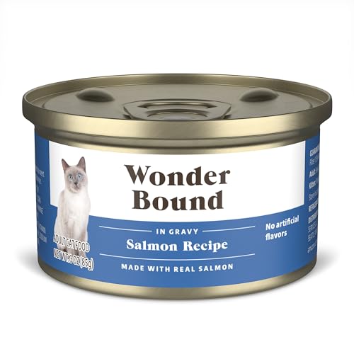 Image of Amazon Brand - Wonder Bound Canned Wet Cat Food (Salmon Recipe in Gravy), No Artificial Flavors, Adult Recipe, 3 Ounce (Pack of 24)