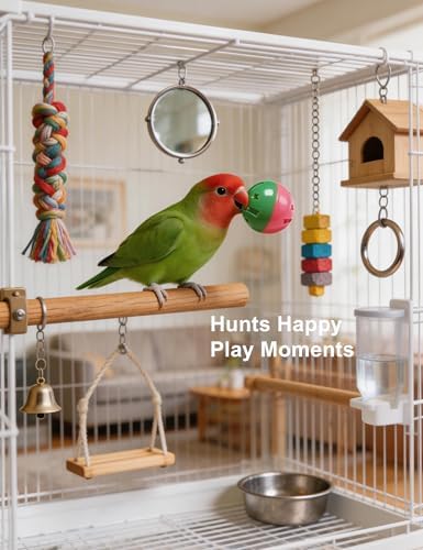 10 Pack Bird Toys with Bells, Safe Plastic Balls for Parakeet Cockatiel Lovebird Small Birds, Exercise & Mental Stimulation — view 6