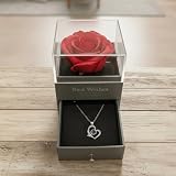 eCraftIndia Collana rosa rossa conservata con cuore eterno con scritta "I Love You" in 100 lingue regalo di compleanno di San Valentino per fidanzata, moglie, lei | Articoli decorativi