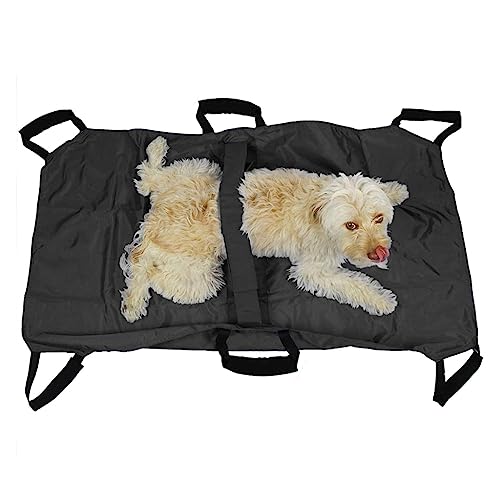 Support de transport robuste pour chiens et protection articulaire
