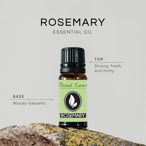 Image of Rosemary Premium Grade Fragrance Oil - 10ml - Scented Oil