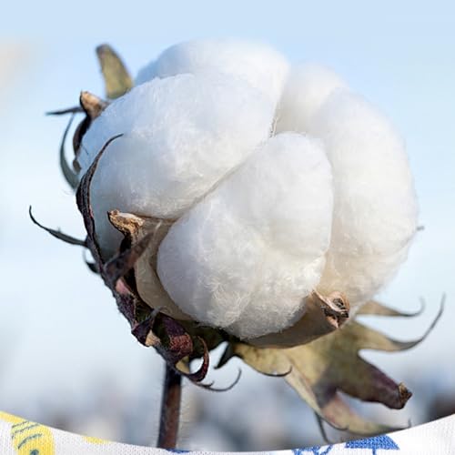 HaimoBurg Lot de 10 paires de chaussettes en coton respirant pour enfants de 1 à 5 ans, Chaussettes pour bébé garçon et fille, 1-3 ans – vue 8
