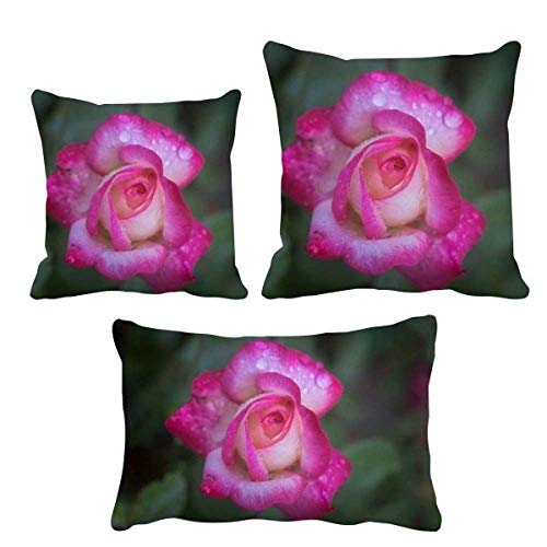 Coussin fleurs roses pour un salon cosy et fleuri