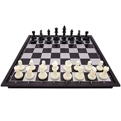 Xadrez Magnetico 19,2x19,2cm