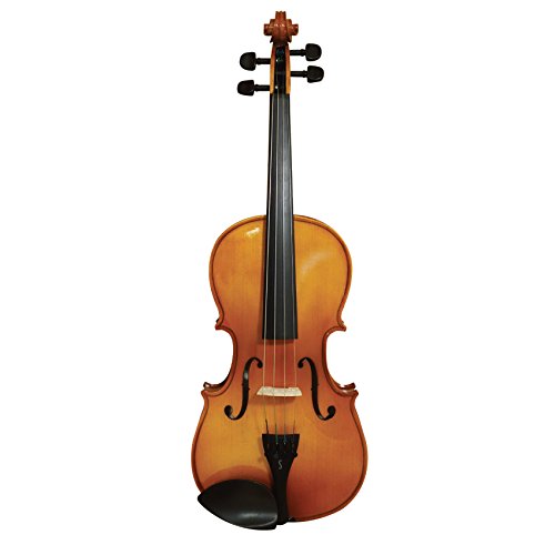 Stentor Student II Viola 15.5\"