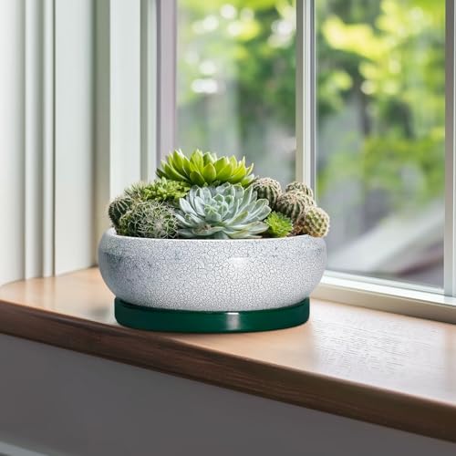 EPFamily Bonsai-Töpfe aus Keramik, 25,4 cm, mit Drainagelöchern und Untersetzern, Schwarzgrün – Ansicht 3