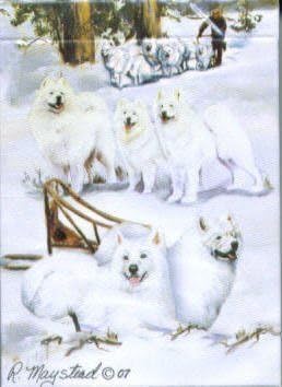 Best Friends Playing Cards, by Ruth Maystead - Samoyeds