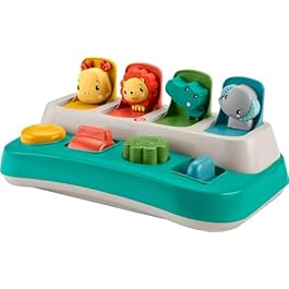 Fisher-Price Baby Early...