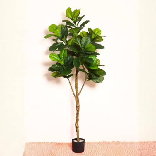 Image of ARICK DECOR Artificial Fiddle Leaf Fig Tree 6ft | Realistic Faux Silk Lush Green Plant in Pot | Peacock Shaped Large Floor Plant for Living Room, Home Office & Indoor Decor (6Ft, Green)