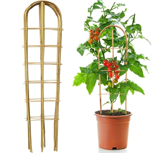 SWANGSA 6 Pack 4Ft U-Shape Bamboo Trellis for Climbing Plants,
