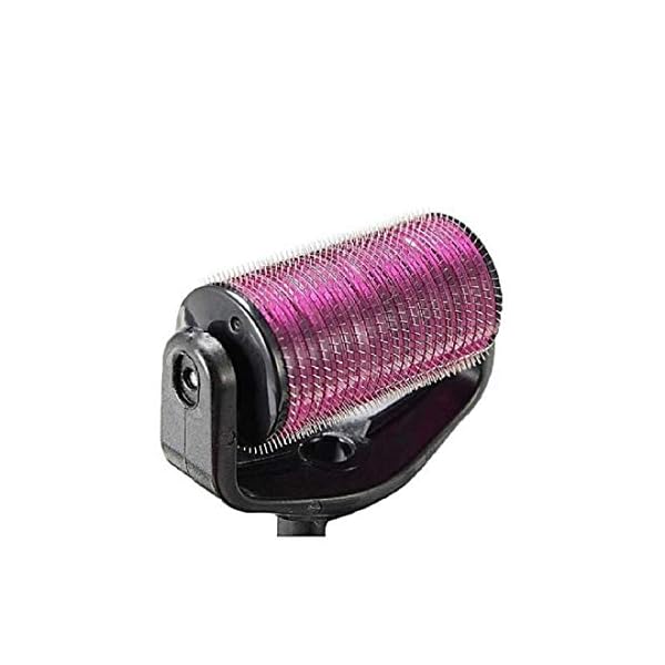 RadBizz Derma Roller and Storage Case - 0.25mm