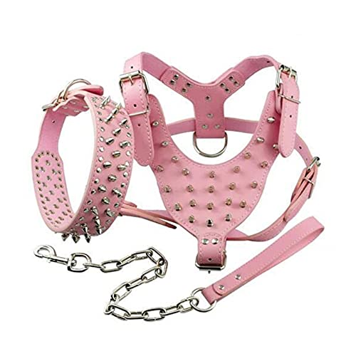 Generic Collare e Pettorina per Cani a Spillo con Borchie Set in Pelle PU Anti- Cerchio a D Resistente per L'addestramento a Piedi di Cani di Taglia Media e Grande (#6)