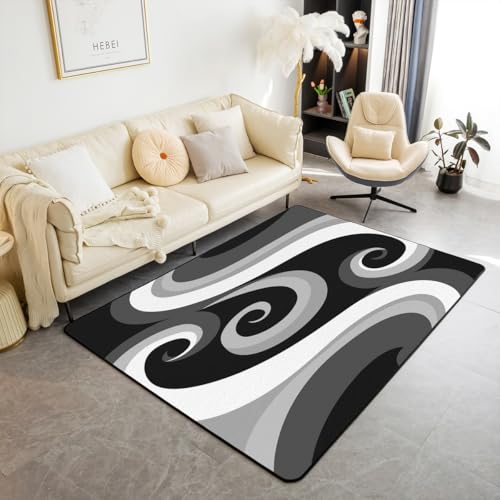 Black Gray Trippy Swirl Area Rug 3'x5' Circle Geometric Decorative Carpet Farmhouse Abstract Decor Living Room Rugs for Bedroom Retro Stripe Floor Mat Accent Rug