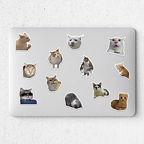 50Pcs Funny Meme Cat Stickers For Kids Teens Girls Laptop Waterproof Vinyl Decals For Water Bottle Travel Case Phone Scrapbook Guitar Birthday Party #TOP5