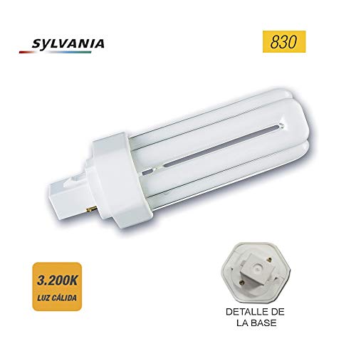 Preisvergleich Produktbild The Toad And The Eagle: A Catamount Tale