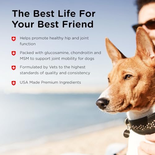 Nutri-Vet Advanced Strength Hip & Joint Chewable Dog Supplements - Formulated with Glucosamine & Chondroitin to Support Dog Cartilage & Mobility - 150 Tablets