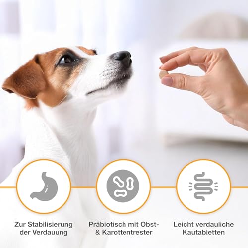 alfavet Dia Tab 20 x 5,5 g – Diät-Ergänzungsfuttermittel für Hunde & Katzen – Mit pflanzlichen Inhaltsstoffen zur Regulierung der Verdauung & Darmflora – Kautabletten mit Präbiotika