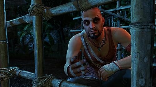 Far Cry 3 [Classic Edition] Ps4 - vue 9