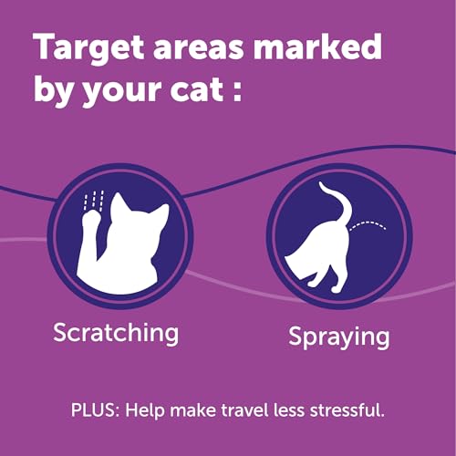 image for FELIWAY® Classic Cat Calming Spray, 60ml - Comforts Cats at Home and 