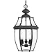 Progress Lighting P6533-31 New Haven Three-Light Hanging Lantern, Stainless Steel , Black