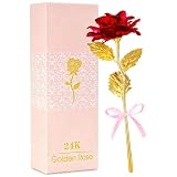 Befinr Mothers Day Rose Gifts for Mom, Women Mom Gifts for Brithday, Galaxy Glass Rose Forever Preserved Flowers Eternal Crystal Roses Mother's Rose Gifts for Grandma Daughter Wife Girlfriend