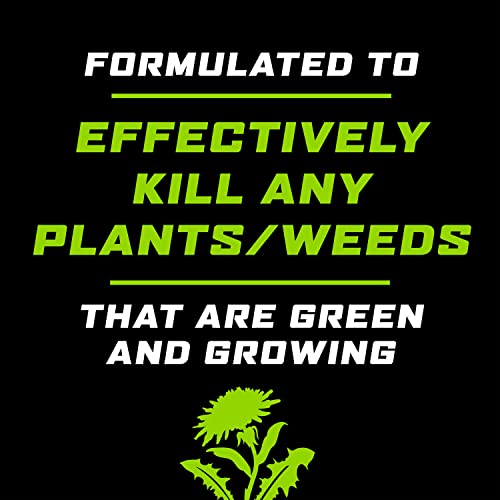 Ortho Groundclear Weed & Grass Killer2, Concentrate, Quickly Kills Crabgrass, Dandelions, And More, 32 Fl. Oz. #TOP3
