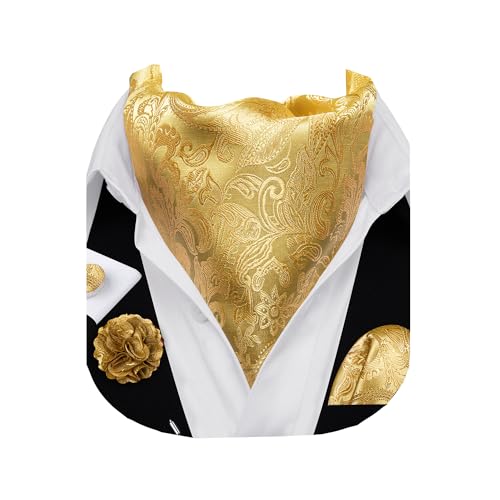 Barry.Wang Men's Ascot Paisley Floral Cravats Tie Lapel Pin Pocket Square Cufflinks 4PC Wedding Business Party Casual for Men