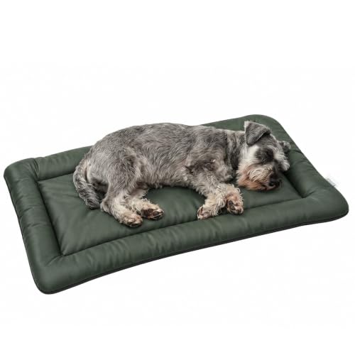 Image of PawHut Waterproof Dog Bed Foldable for Small Dogs 90L x 60W x 5H cm Green