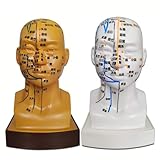 Ce modèle d'acupuncture de la tête est une aide pédagogique idéale, suffisamment détaillée for satisfaire les étudiants, les médecins ou toute personne intéressée par les méridiens humains et les points d'acupuncture. Et convient également aux cours primaires de traitement d'acupuncture. de médecine chinoise, d'acupuncture et de massage, etc.