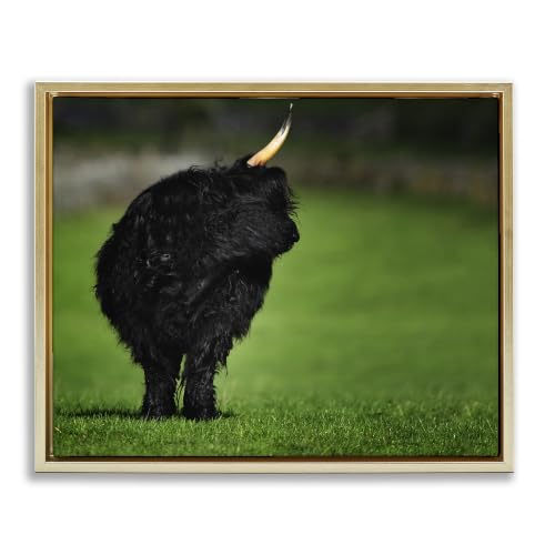 Fuzzy Yak Lush Grass Field, 16 x 20 Inch Canvas in Floater Frame