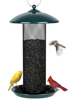 nyjer seed feeders for finches that will transform your backyard experience 2 nyjer seed feeders for finches