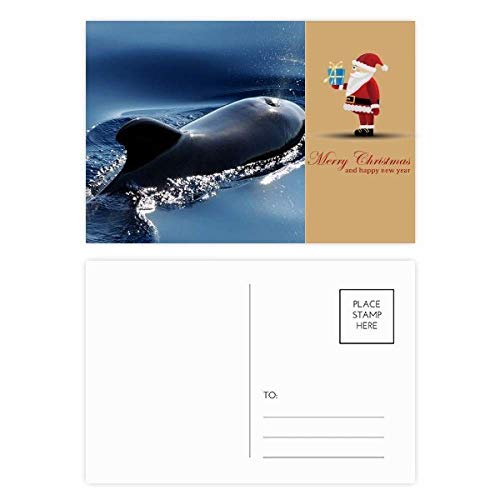 Cartes postales de mer motif baleine pour vos vacances et petits mots