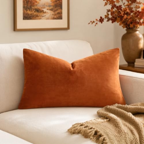 MIULEE 24x24 Inch Euro Fall Velvet Throw Pillow Cover Set of 1 Orange