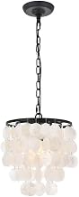 Selene 1-Light Mid-Century Metal Pendant in Black and White