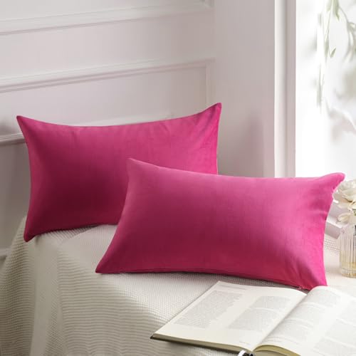 Image of Phantoscope Pack of 2 Velvet Decorative Throw Decorative Pillow Cover Soft Solid Square Cushion Case for Couch Pink 12 x 20 inches 30 x 50 cm