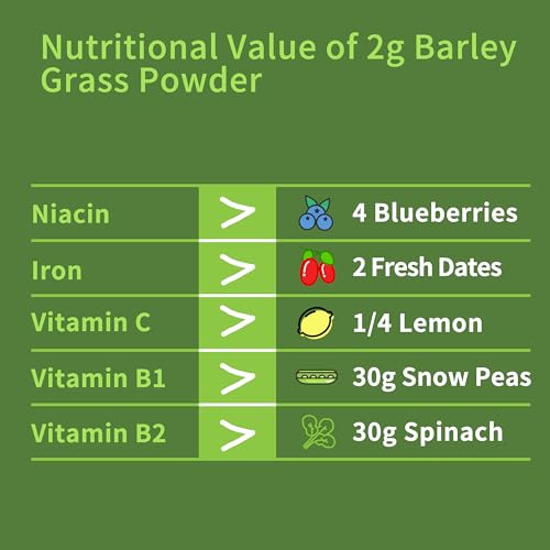 Barley Grass Juice Powder 11 oz - 100% Pure Wheatgrass Powder, Vegan, No Maltodextrin & Sugar.